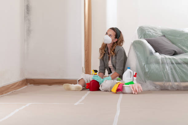 Reliable Black Mold Removal contractor in Massey, MD by WQB Mold Removal